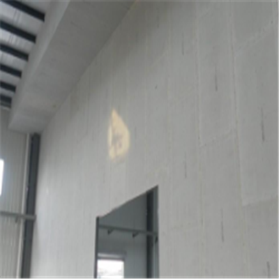 惠州宁波ALC板|EPS加气板隔墙与混凝土整浇联接的实验研讨