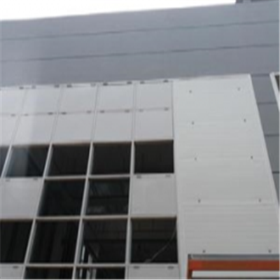 惠州新型建筑材料掺多种工业废渣的陶粒混凝土轻质隔墙板